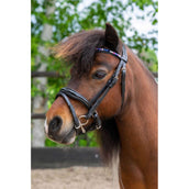 HB Ruitersport Briglia Showtime Petit Royal Nero HB Ruitersport Briglia Showtime Petit Royal Nero