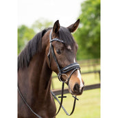 HB Briglia Las Vegas Glitter nero/blu scuro HB Briglia Las Vegas Glitter nero/blu scuro