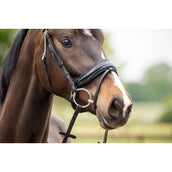 HB Briglia Las Vegas Glitter nero/blu scuro HB Briglia Las Vegas Glitter nero/blu scuro