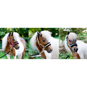 HB Capezzina Sunny Flower Giallo HB Capezzina Sunny Flower Giallo