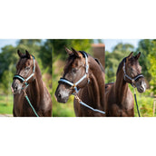 HB Capezzina Showtime Pioneer Nero HB Capezzina Showtime Pioneer Nero