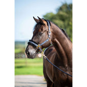 HB Capezzina Showtime Pioneer Nero HB Capezzina Showtime Pioneer Nero