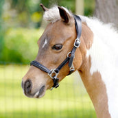 HB Capezzina Showtime Little Sizes Nero HB Capezzina Showtime Little Sizes Nero