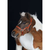 HB Capezzina Showtime Little Sizes Cognac/Cognac HB Capezzina Showtime Little Sizes Cognac/Cognac