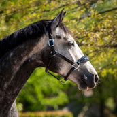 HB Ruitersport Cavezza Showtime Grand Slam Nero HB Ruitersport Cavezza Showtime Grand Slam Nero