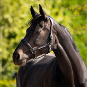 HB Ruitersport Cavezza Showtime Pasadena Nero HB Ruitersport Cavezza Showtime Pasadena Nero