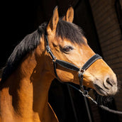 HB Capezzina Wisconsin Nero Argento HB Capezzina Wisconsin Nero Argento