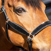 HB Capezzina Wisconsin Nero Argento HB Capezzina Wisconsin Nero Argento