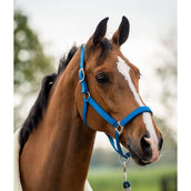 HB Set Cavezza Tropical Velvet Turkish Blue HB Set Cavezza Tropical Velvet Turkish Blue