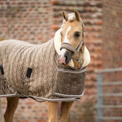 HB Ruitersport Coperta da esposizione Special Peach Taupe HB Ruitersport Coperta da esposizione Special Peach Taupe