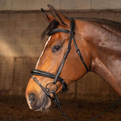 Harry's Horse Briglia Soft Carbon Black Edition Nero Harry's Horse Briglia Soft Carbon Black Edition Nero