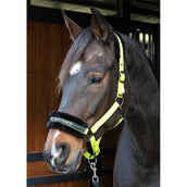 Citazioni dal testo di Harry's Horse Halter Lime Citazioni dal testo di Harry's Horse Halter Lime