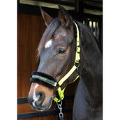 Citazioni dal testo di Harry's Horse Halter Lime Citazioni dal testo di Harry's Horse Halter Lime