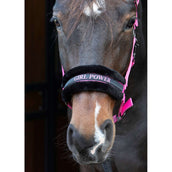 Citazioni dal testo di Harry's Horse Halter Rosa Citazioni dal testo di Harry's Horse Halter Rosa