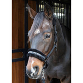Citazioni dal testo di Harry's Horse Halter Nero Citazioni dal testo di Harry's Horse Halter Nero