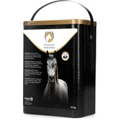 Excellent Importante Excellent Importante