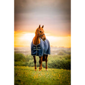 Amigo Ripstop 900D Pony 200g Marina di Witney Amigo Ripstop 900D Pony 200g Marina di Witney