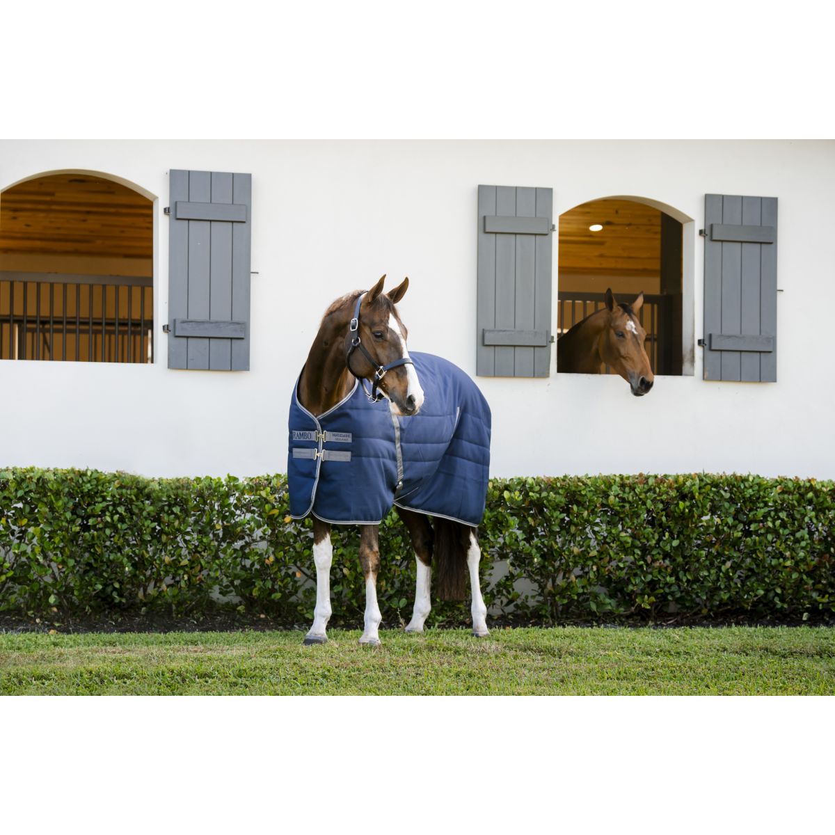 Therapy coperta da turnout, 150g Dark Blue/Dark Blue 115 Therapy coperta da turnout, 150g Dark Blue/Dark Blue 115