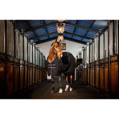 Rambo Coperta da scuderia 200g Black/Thunderstorm Grey/Silver Rambo Coperta da scuderia 200g Black/Thunderstorm Grey/Silver