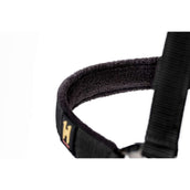 Amigo Cavezza e corda Newmarket Witney Gold Amigo Cavezza e corda Newmarket Witney Gold