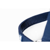 Amigo Capestro e Longhina Newmarket Marina di Witney Amigo Capestro e Longhina Newmarket Marina di Witney