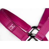 Amigo Cavezza e corda Newmarket Witney Pink Amigo Cavezza e corda Newmarket Witney Pink