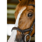 Horseware Micklem Competition Bridle Dark Havana Horseware Micklem Competition Bridle Dark Havana