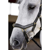 Horseware Micklem Multi Bridle Nero Horseware Micklem Multi Bridle Nero