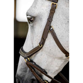Horseware Micklem Multi Bridle Dark Havana Horseware Micklem Multi Bridle Dark Havana