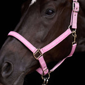 HV Polo Capezzina HVPNena Pretty Pink HV Polo Capezzina HVPNena Pretty Pink