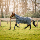 Amigo Bravo 12 Plus Turnout Lite 0g Shadow/Navy/Rose Amigo Bravo 12 Plus Turnout Lite 0g Shadow/Navy/Rose