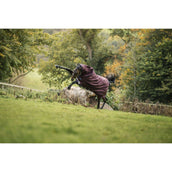 Amigo Turnout Plus 1200D 50g Burgundy/Navy/Titanium Grey Amigo Turnout Plus 1200D 50g Burgundy/Navy/Titanium Grey