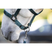 Amigo Capestro e Longhina Dynasty Green Amigo Capestro e Longhina Dynasty Green