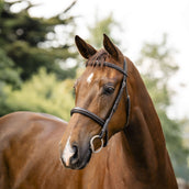 Horseware Briglia Hunter Havana Brown Horseware Briglia Hunter Havana Brown