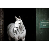 Rambo Micklem Bitless Bridle Nero Rambo Micklem Bitless Bridle Nero