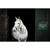 Rambo Micklem Bitless Bridle Marrone Rambo Micklem Bitless Bridle Marrone