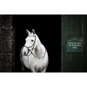 Rambo Micklem Bitless Bridle Marrone Rambo Micklem Bitless Bridle Marrone