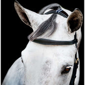 Rambo Briglia multipla Micklem New Nero Rambo Briglia multipla Micklem New Nero