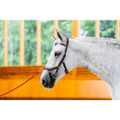 Rambo Briglia multipla Micklem New Dark Havana Rambo Briglia multipla Micklem New Dark Havana