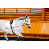 Rambo Briglia multipla Micklem New Dark Havana Rambo Briglia multipla Micklem New Dark Havana