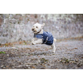 Horseware Ionic Therapy Dog Coat 50g Imperial Blue/Silver/Navy Horseware Ionic Therapy Dog Coat 50g Imperial Blue/Silver/Navy