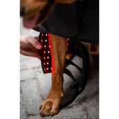 Horseware Pet Leg Wraps LED Red Light Therapy Pair Nero Horseware Pet Leg Wraps LED Red Light Therapy Pair Nero