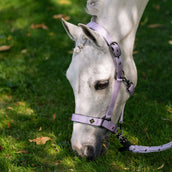 Imperial Riding Capezzina IRHRebel Wisteria Imperial Riding Capezzina IRHRebel Wisteria