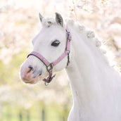 Imperial Riding Capezzina IRHRebel Ballerina Imperial Riding Capezzina IRHRebel Ballerina