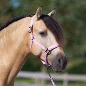 Imperial Riding Capezzina IRHSparkle Ballerina Imperial Riding Capezzina IRHSparkle Ballerina