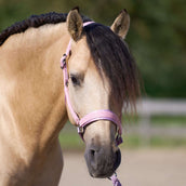 Imperial Riding Capezzina IRHSparkle Ballerina Imperial Riding Capezzina IRHSparkle Ballerina