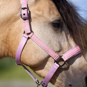 Imperial Riding Capezzina IRHSparkle Ballerina Imperial Riding Capezzina IRHSparkle Ballerina