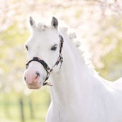 Imperial Riding Capezzina IRHRebel Flower Print Imperial Riding Capezzina IRHRebel Flower Print