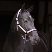 Imperial Riding Capezzina IRHRebel Ballerina Imperial Riding Capezzina IRHRebel Ballerina