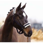 Imperial Riding Capezzina IRHJewel Nero Imperial Riding Capezzina IRHJewel Nero